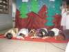 bozenarodzenie2008090_small.jpg