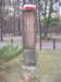 wakacje2009088_small.jpg