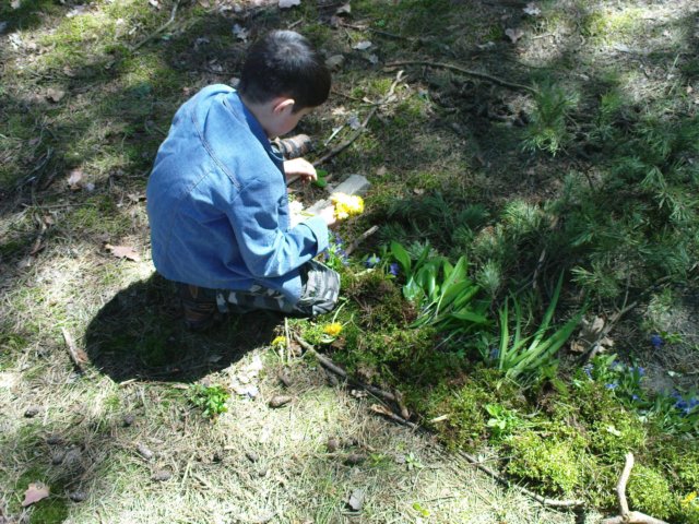dsc00330.jpg