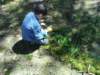 dsc00330_small.jpg