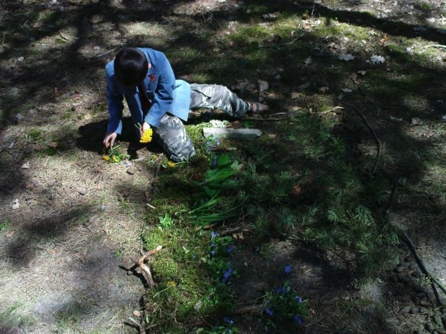 dsc00331.jpg
