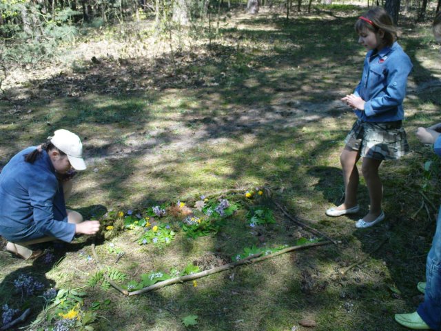 dsc00332.jpg