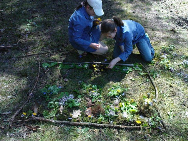 dsc00336.jpg