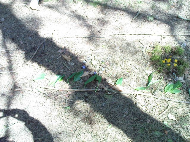 dsc00346.jpg