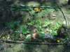 dsc00349_small.jpg