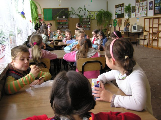 p1010005.jpg